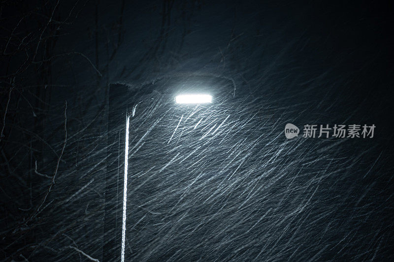 雪花飘落，路灯在夜里