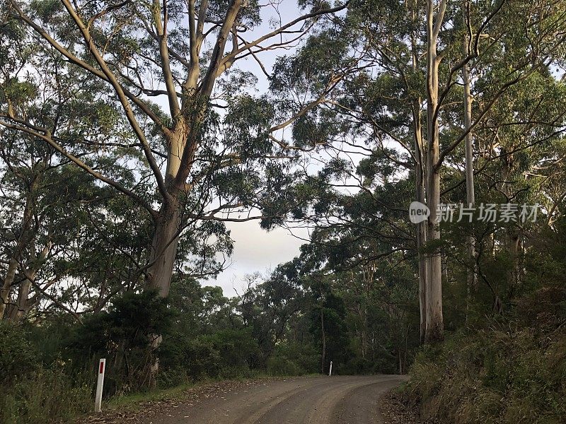 乡间的土路