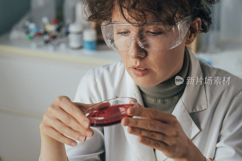 科学家观察培养皿中生长的细菌