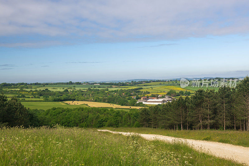 英国诺丁汉郡，从特维萨尔附近的山顶上眺望远处的农田。