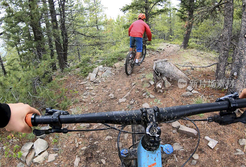 第一人称视角的山地自行车在森林小径