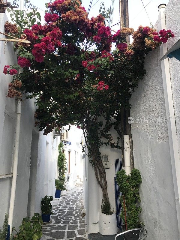 希腊帕罗斯的一条小巷子