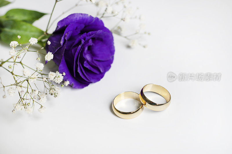 白色背景上有紫色的花和两枚金色的结婚戒指。