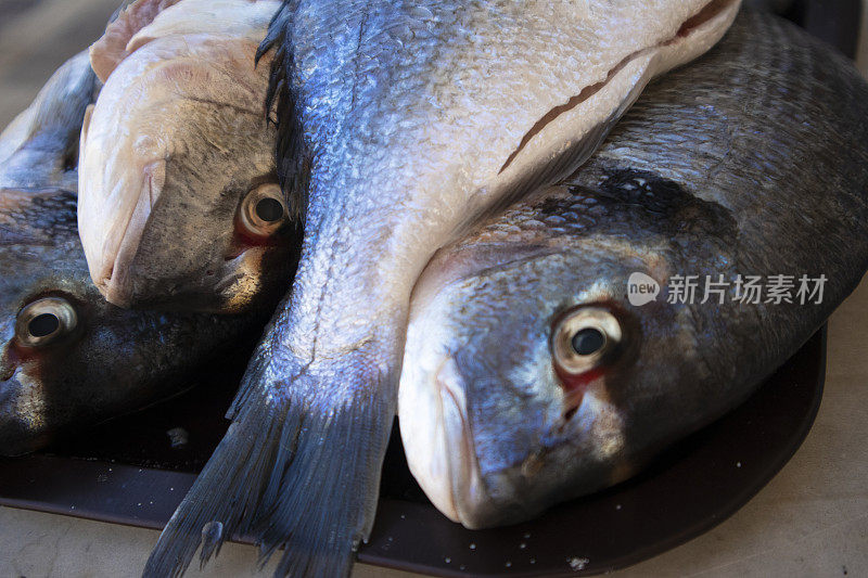 鱼市场上的新鲜海鲷鱼