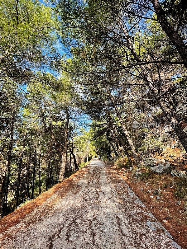 克罗地亚斯普利特的Marjan山徒步旅行