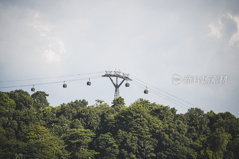 缆车在新加坡圣淘沙郁郁葱葱的热带雨林之上