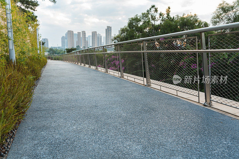 清晨，公园里的柏油路