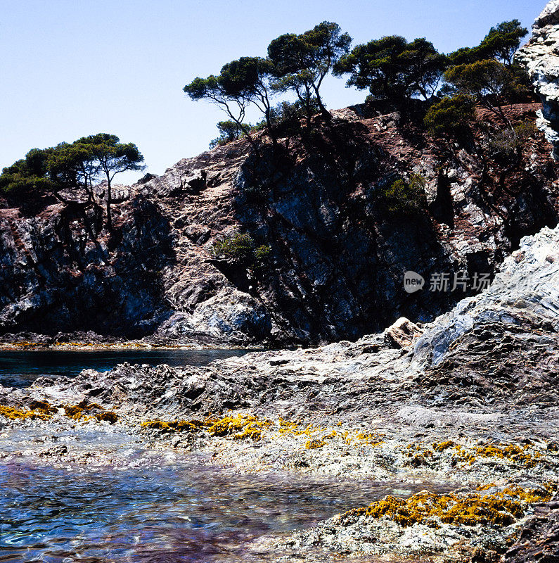 洛基湾，Porquerolles岛，法国