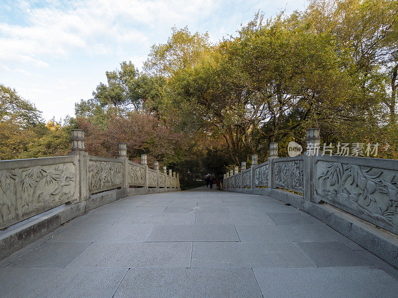 中国杭州西湖公园石桥旁的红枫