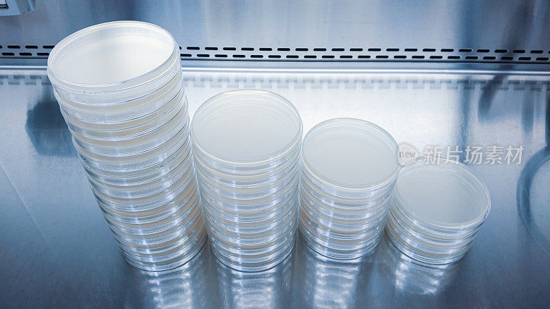 在实验室检查抗生素的培养皿的特写镜头。