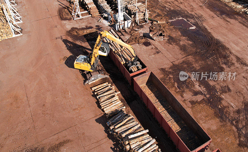 带抓木起重机的挖掘机从货车上卸下木材。带爪的起重机将原木装载到木材厂的原木火车上。非法采伐和木材出口。木材机器和抓取原木。