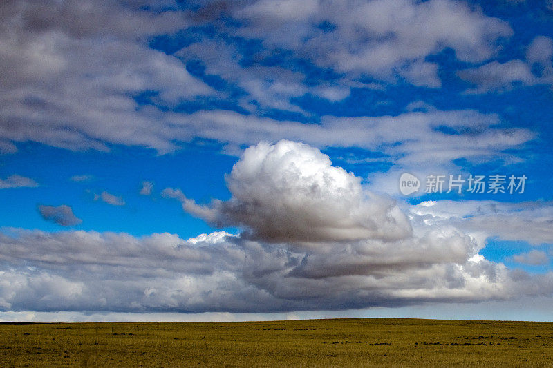 典型的铁砧形状的雷暴在蒙大拿草原上形成