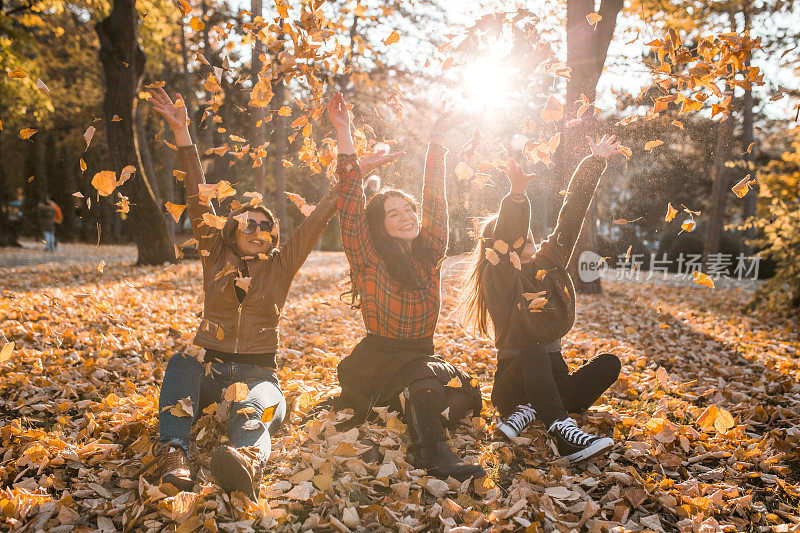 和你最好的朋友在公园里扔一片秋叶真的很有趣，也是度过周末最好的方式