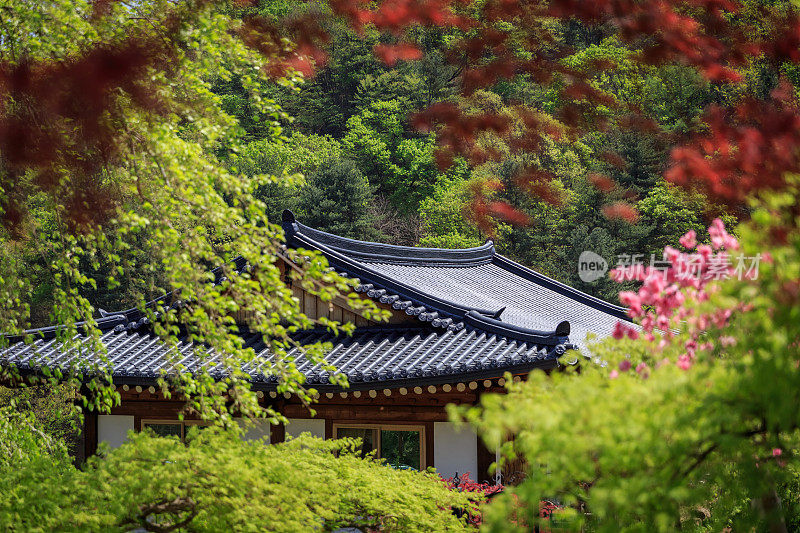 森林中的韩国佛教寺庙屋顶细节