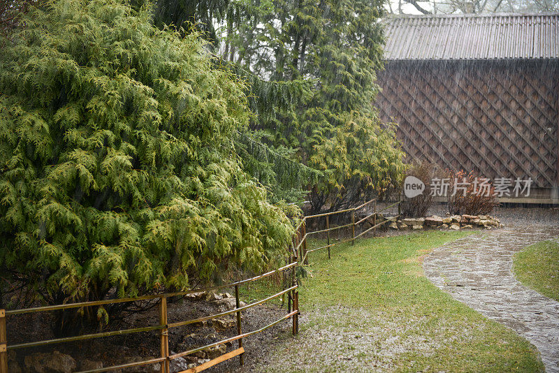 花园里下着暴雨