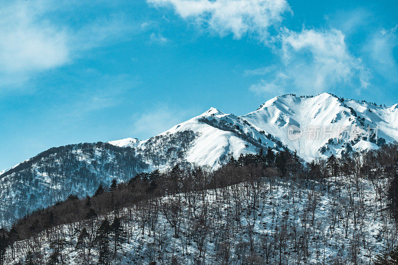 山顶在日本下雪