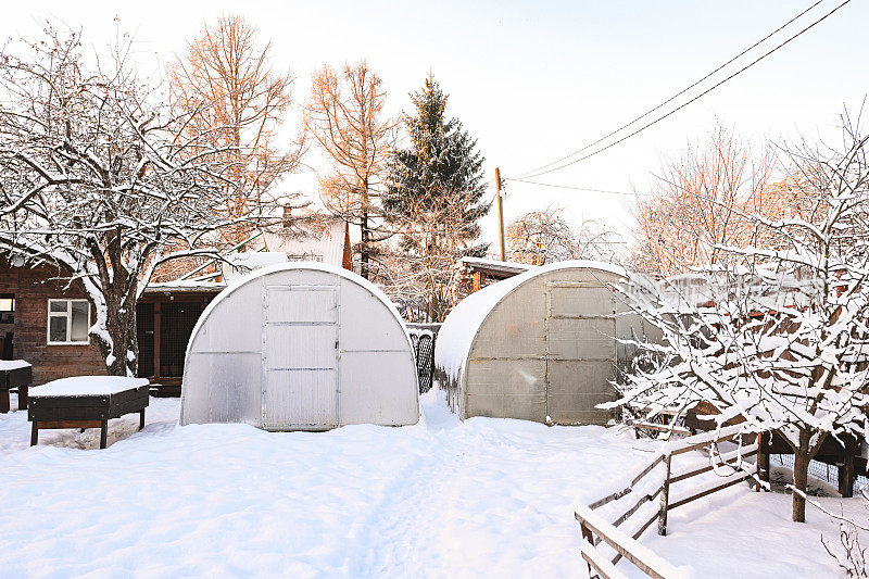 后院花园里的树被雪覆盖着