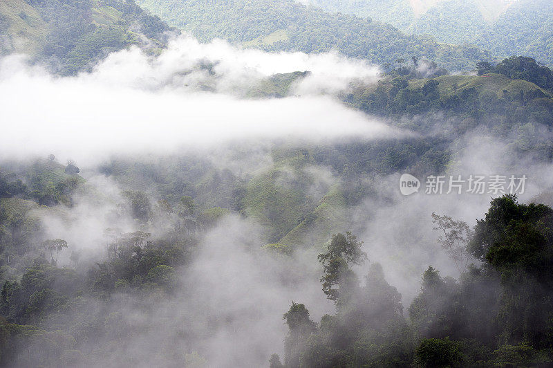 云雾森林景观在阳光在圣胡安娜保护区，哥斯达黎加