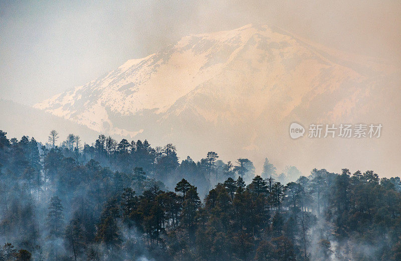 科科尼诺国家森林大火中的旧金山山峰