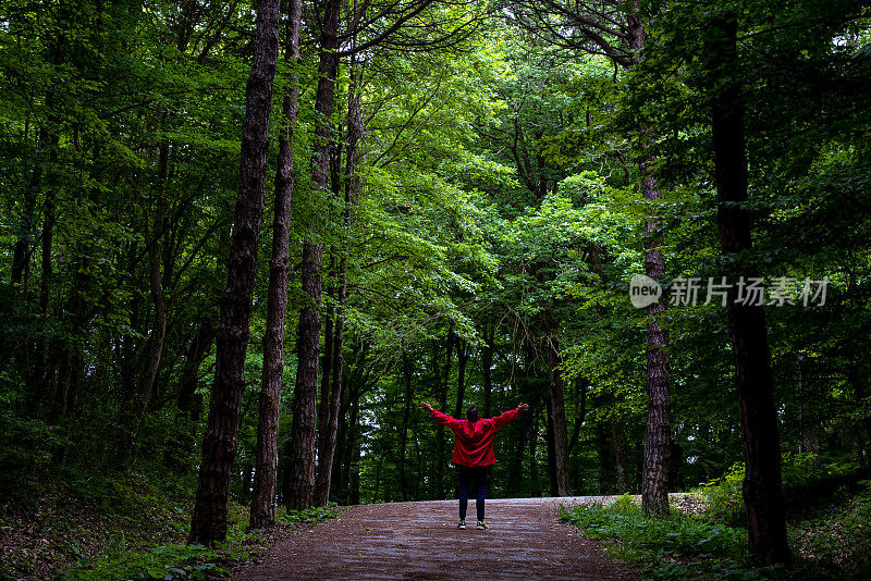 一个穿着红色连帽雨衣的男人独自在森林里