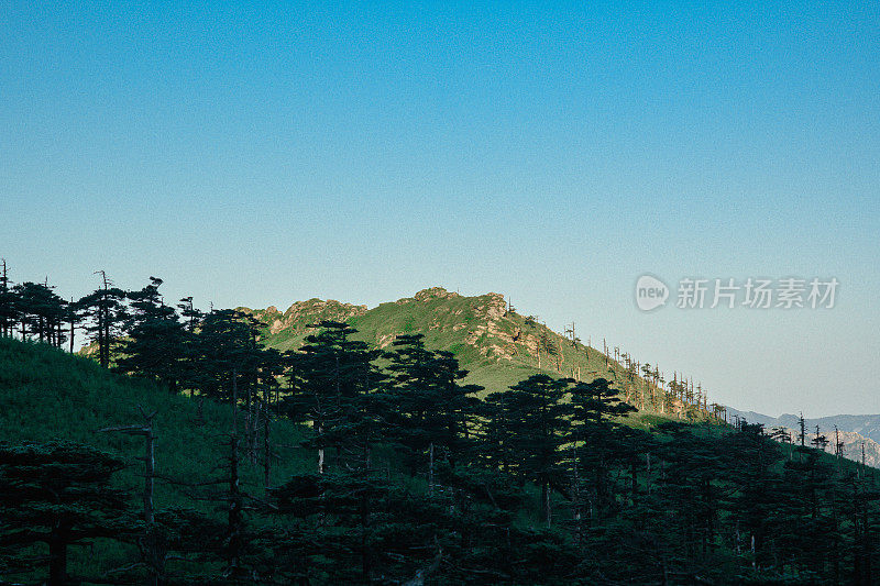 中国陕西省秦岭的夏季高山风光