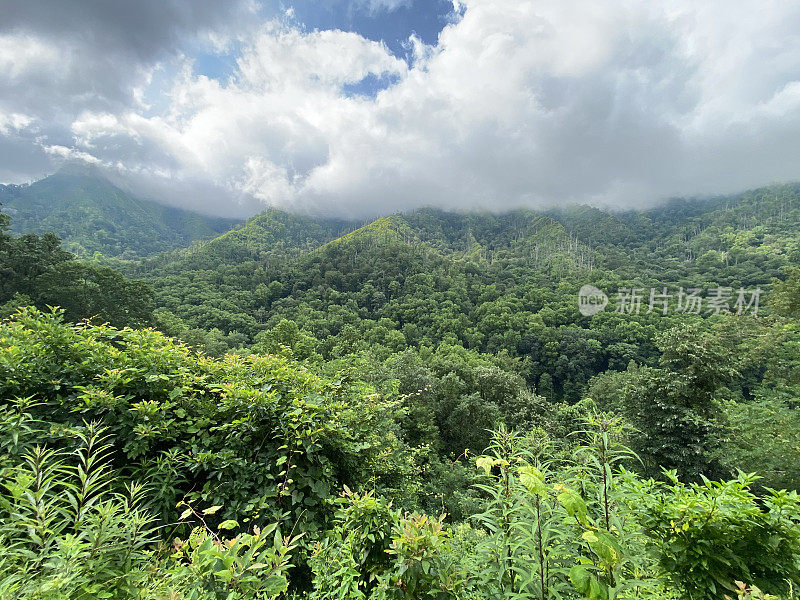 大烟山