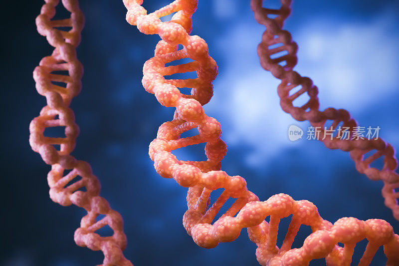 DNA基因螺旋螺旋分子结构。