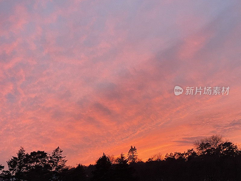 夕阳下，天空中粉红的红云