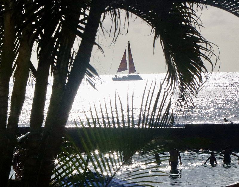 夏威夷帆船映衬着威基基棕榈树