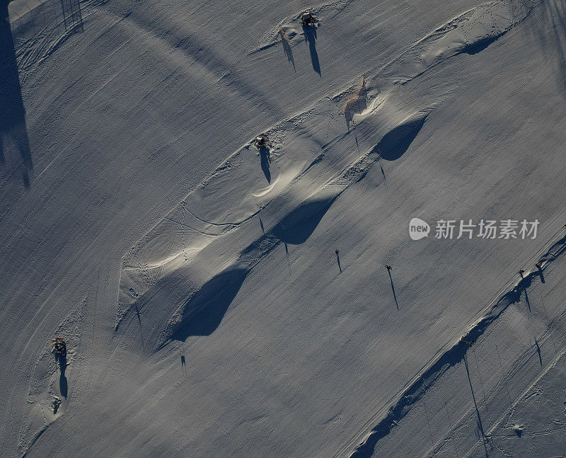 滑雪坡道上一排一排的小山孩子和大人赛跑和跳跃。造雪沿山坡分布。在温暖的天气和融化的情况下，冬天供应雪