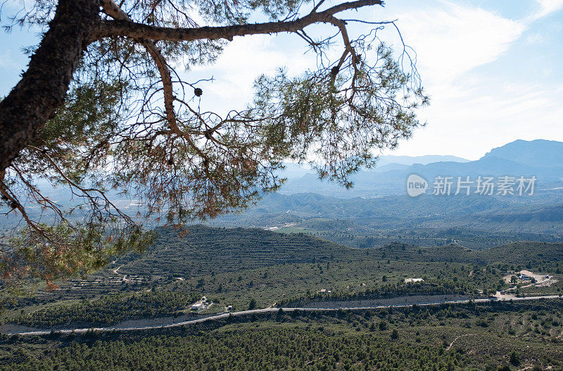 夏季阿利坎特地区的风景。从卡德科多尔山上俯瞰山谷。