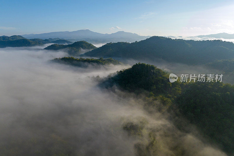 清晨的风景，金色的光线，日出，雾气笼罩着森林。