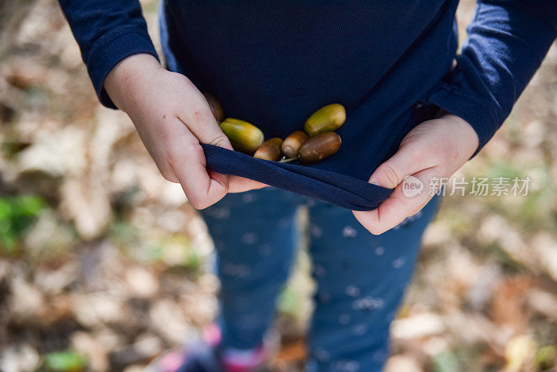 小女孩穿过森林时穿着t恤收集橡子