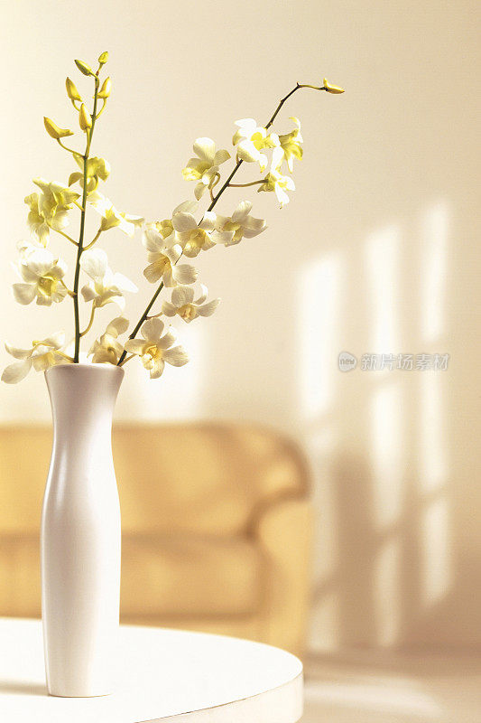 白色花瓶里的花