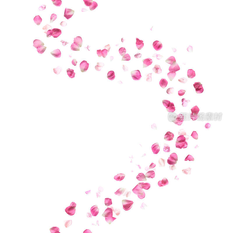 无缝粉红玫瑰花瓣曲线