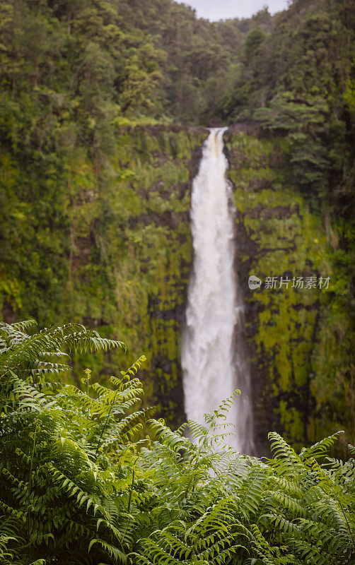 阿卡卡瀑布风景优美的自然景观科纳夏威夷旅游目的地
