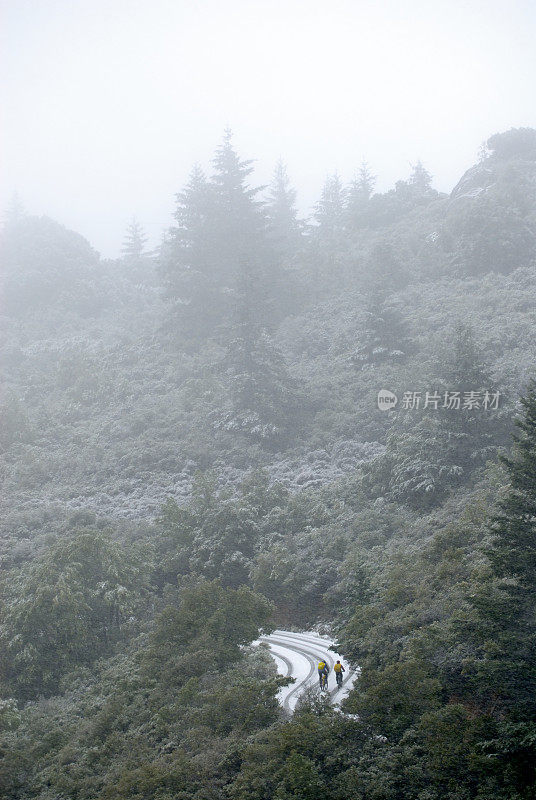 在森林里的雪地上骑自行车。