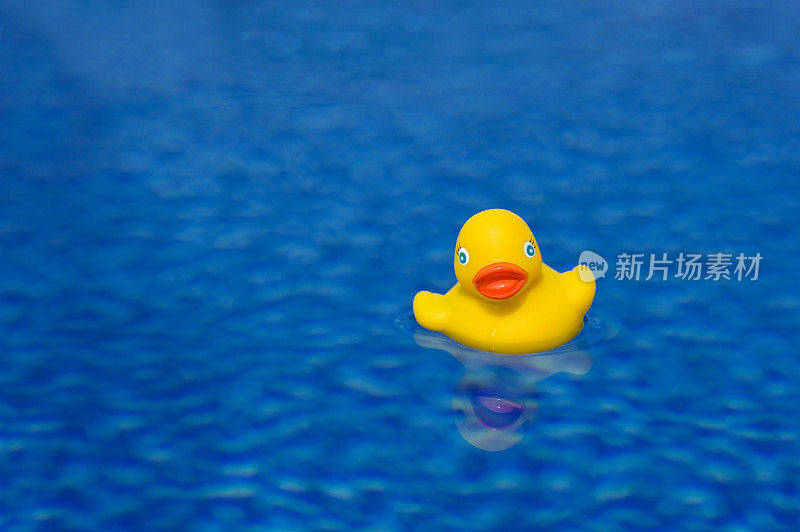 桔黄色的鸭嘴橡皮鸭漂浮在水面上。