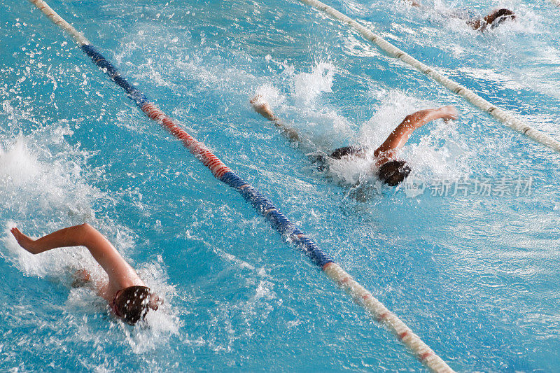 自由泳选手在游泳池比赛