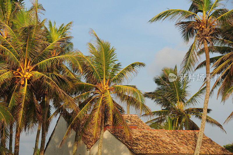 加勒堡，斯里兰卡。