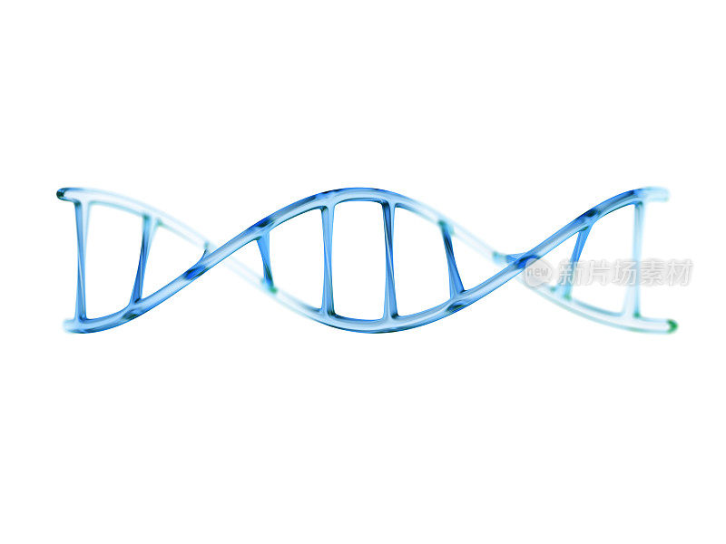 人类DNA分子片段，在whitit上分离的3d插图