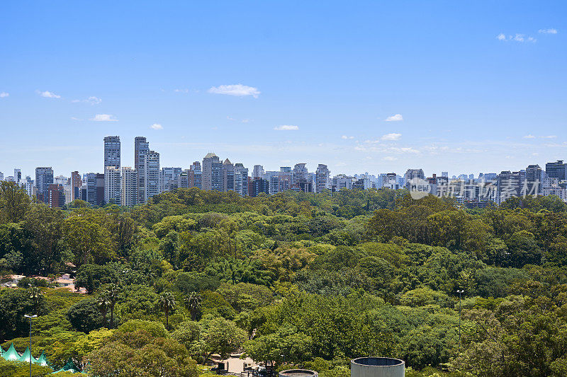 巴西圣保罗Ibirapuera公园。