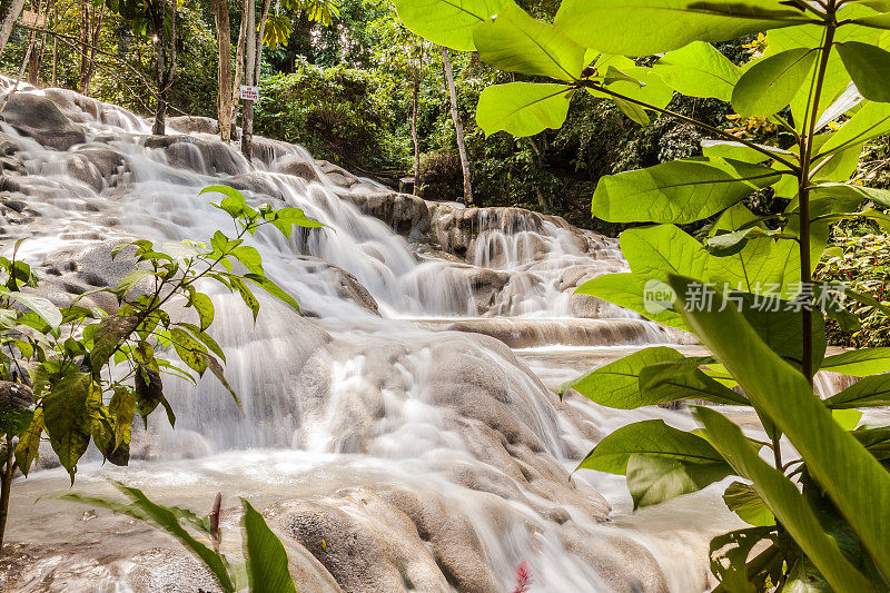 牙买加的邓恩河瀑布
