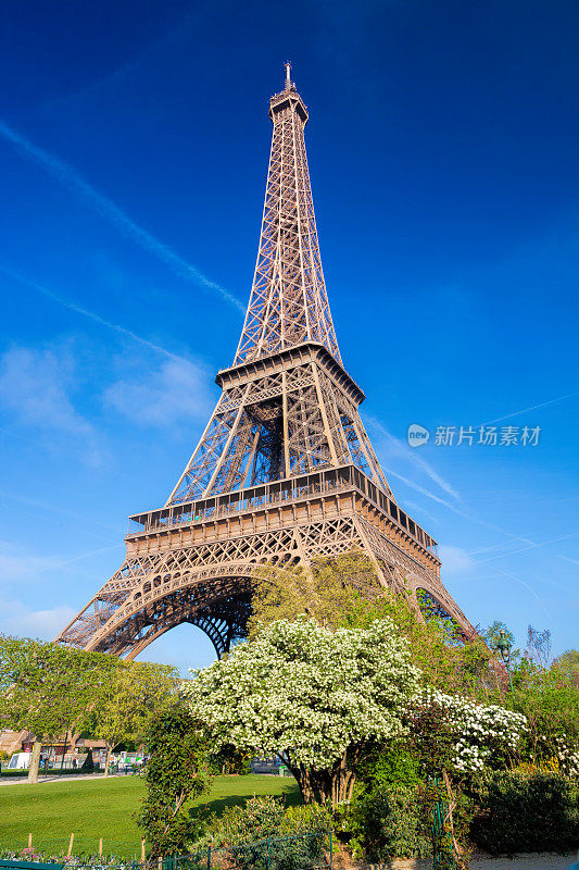 在法国巴黎的春天，埃菲尔铁塔