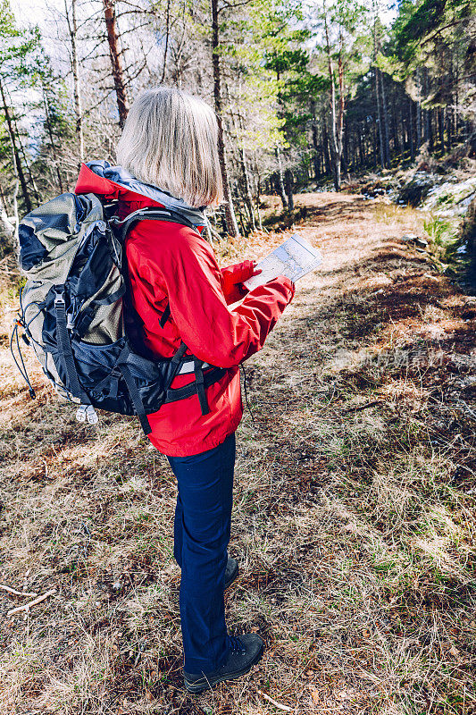 在森林里用地图导航的女人徒步旅行者