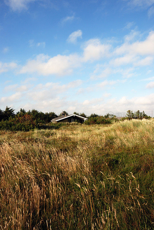 住在沙丘里