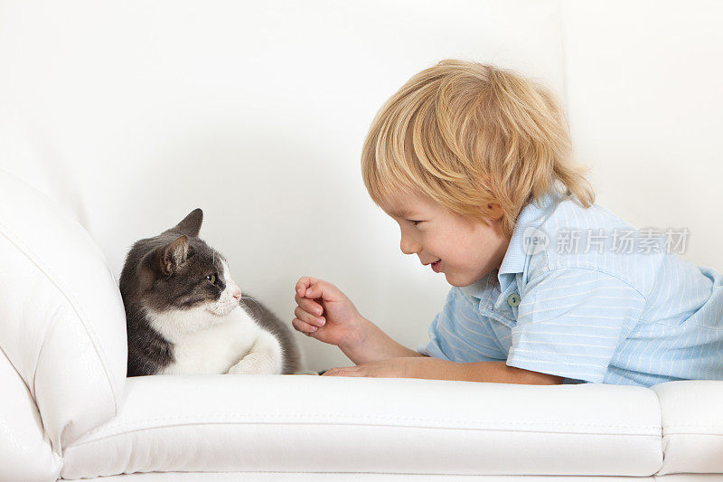 男孩在家里和猫玩