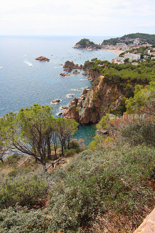 东北海岸