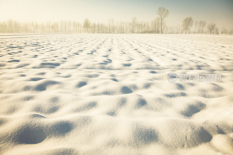 雪领域