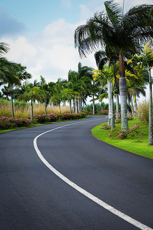 蜿蜒的道路